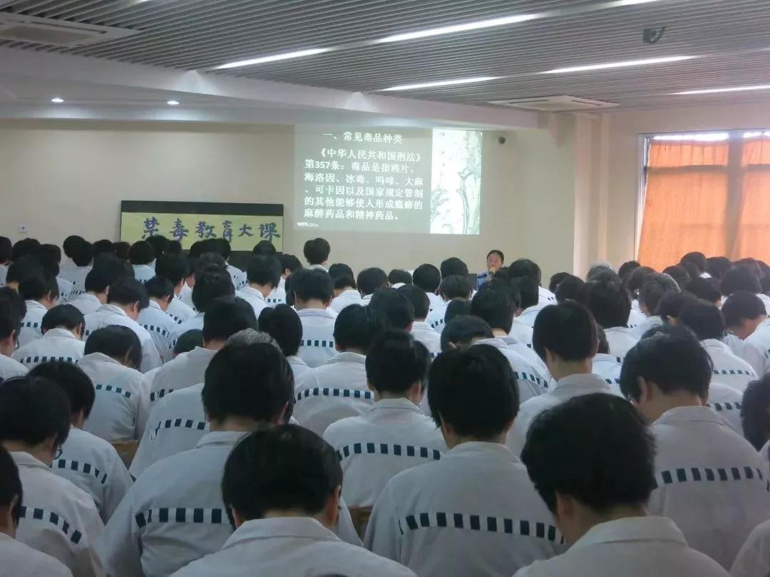 一个医生，一个护士，白天救人，晚上“自杀”