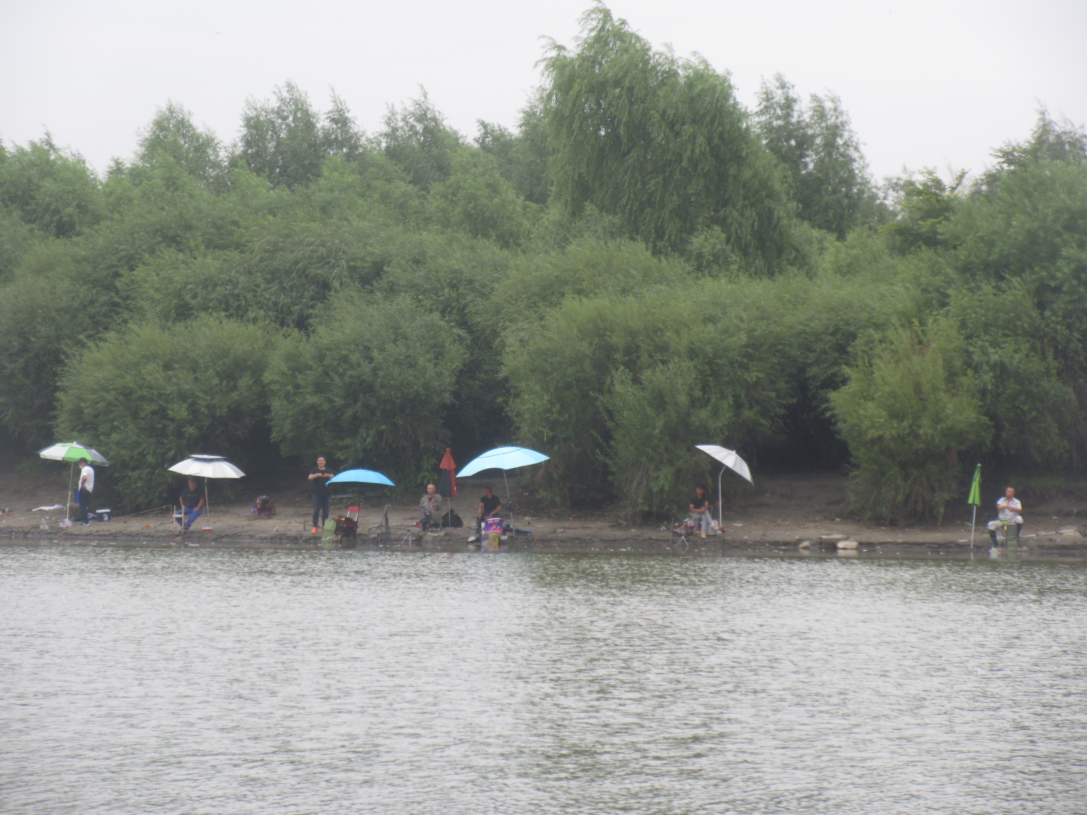 钓鱼知识秘籍书,钓鱼技巧小册子