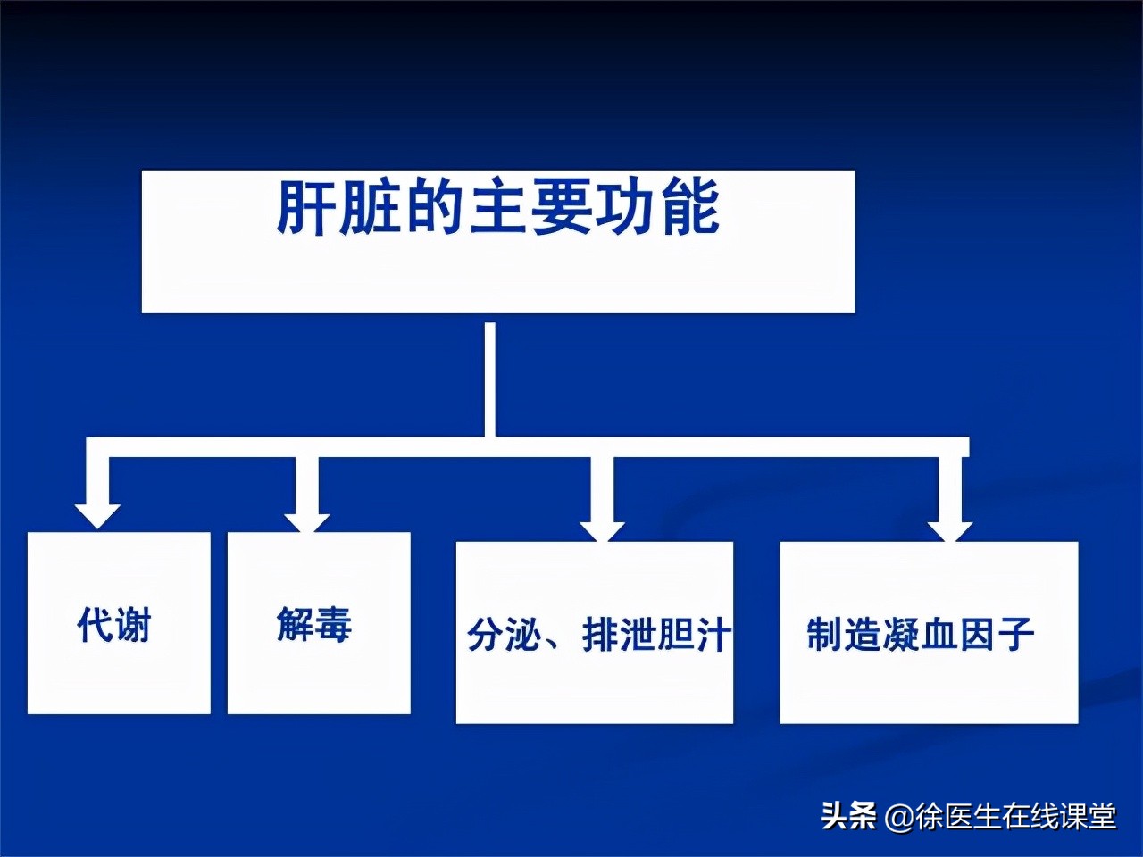 谷草转氨酶和谷丙转氨酶高会怎样,谷草转氨酶500谷丙转氨酶1800