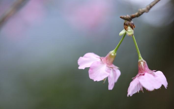 如果你爱上了一个有家庭的男人，要学会如此做