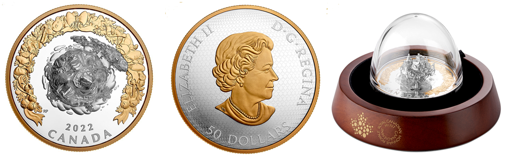 钱币新品种大全,稀奇钱币