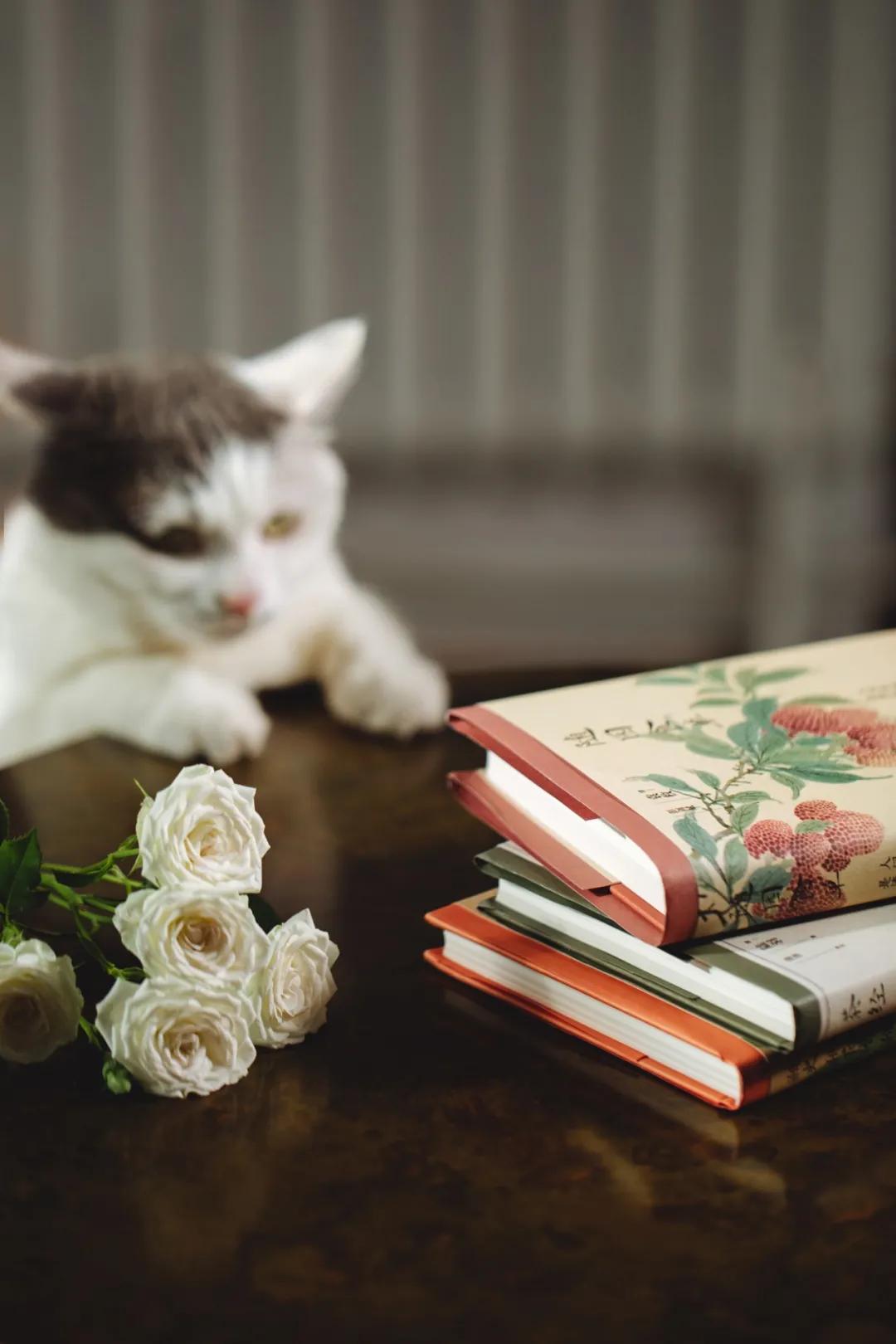 认真吃饭好好睡觉保持开心,认真吃饭好好爱自己