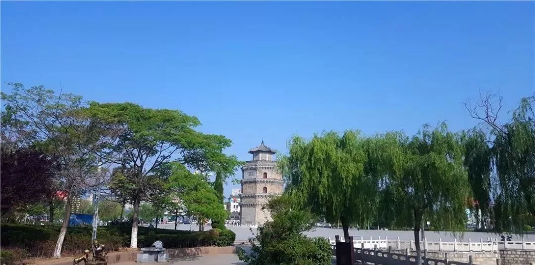 奇怪的古塔燕子----“严冬不南迁，有足不成行”