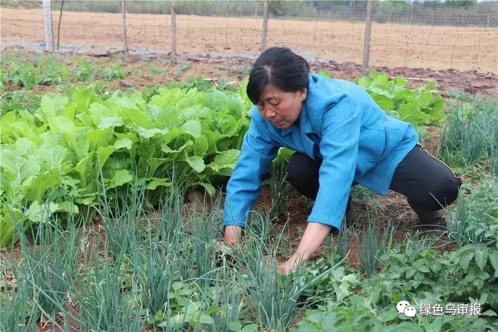 点赞！鄂尔多斯一女子20年重信践诺还清离家丈夫20万债款