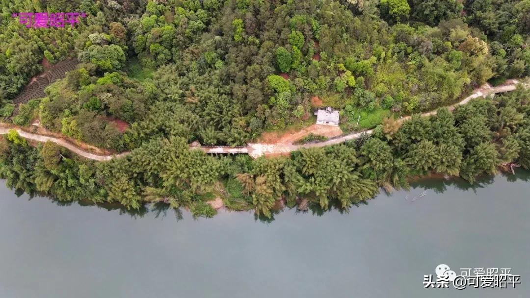 昭平县桂江东岸公路视频,贺州昭平道路建设