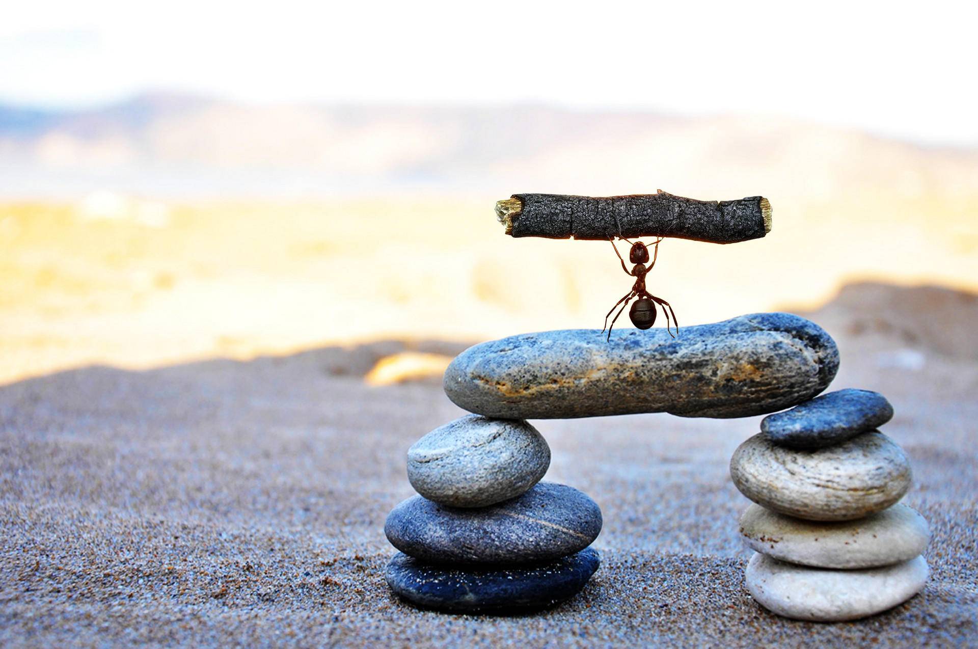 职场被人欺负怎么办教学,如何解决在职场被人欺负