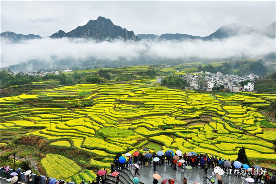 朱虹十论江西文化,朱虹个人简历