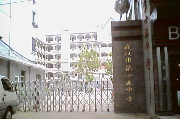 省示范高中武汉,湖北省武汉市省示范高中名单大全