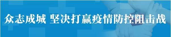 抗疫支前志愿者集合小分队,为抗疫先锋画像