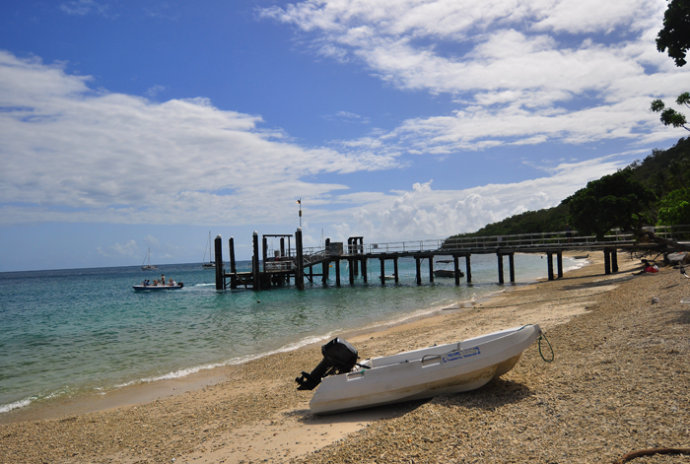 全民热遗｜大堡礁上有个翡翠岛，绝美好玩，还是海龟康复中心