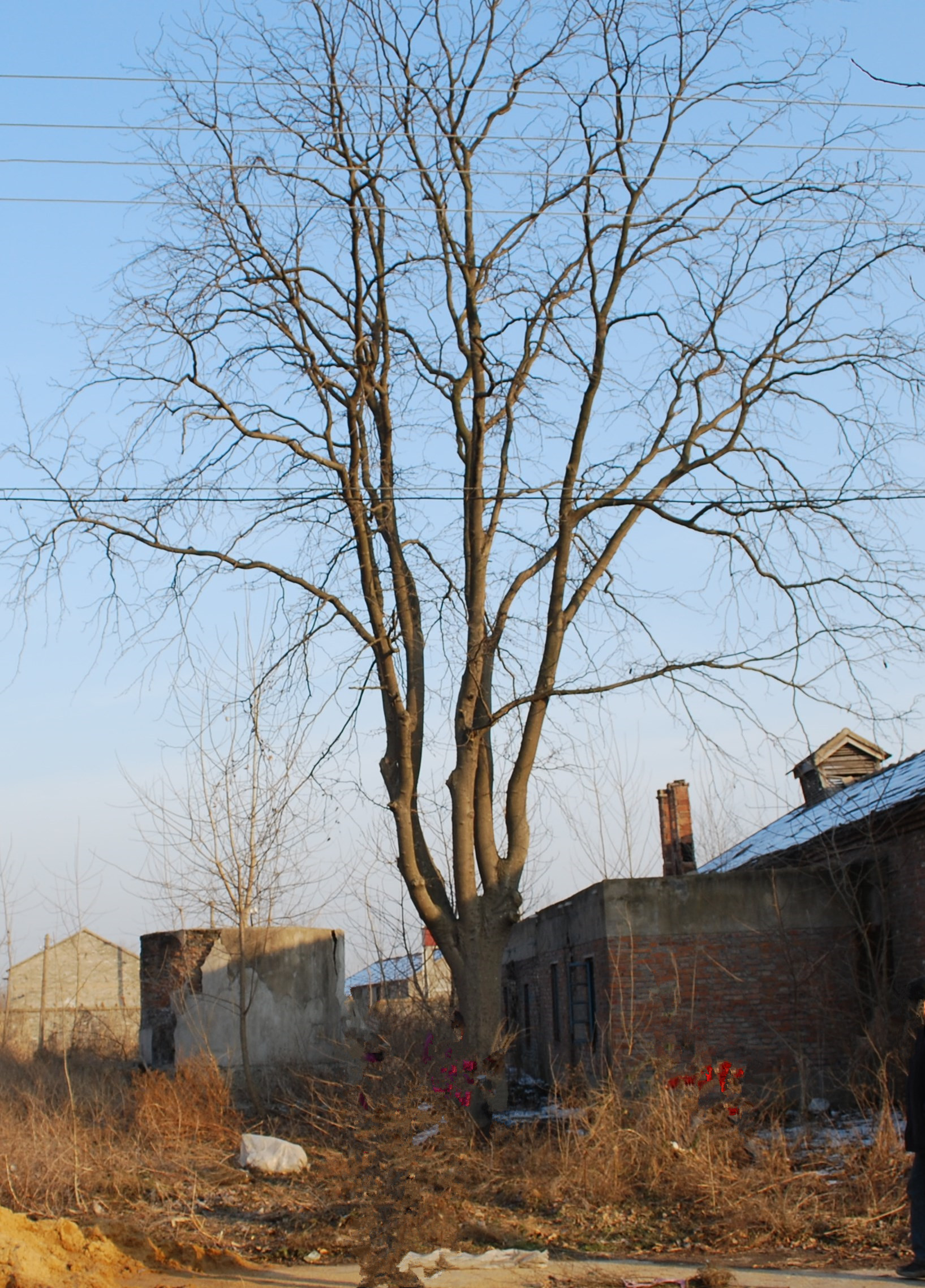 我的中学时代生活,我的中学生活完整版