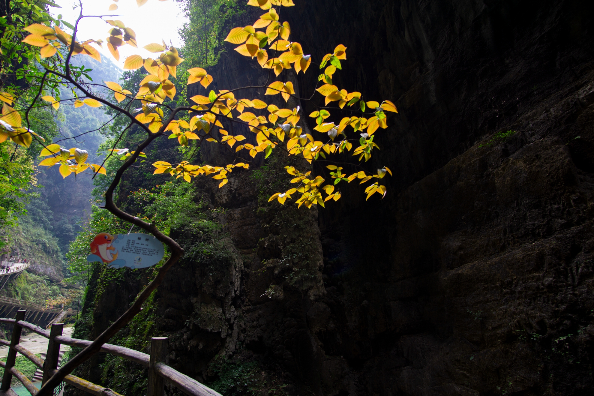 彭水爱情治愈系,爱情治愈胜地是哪里