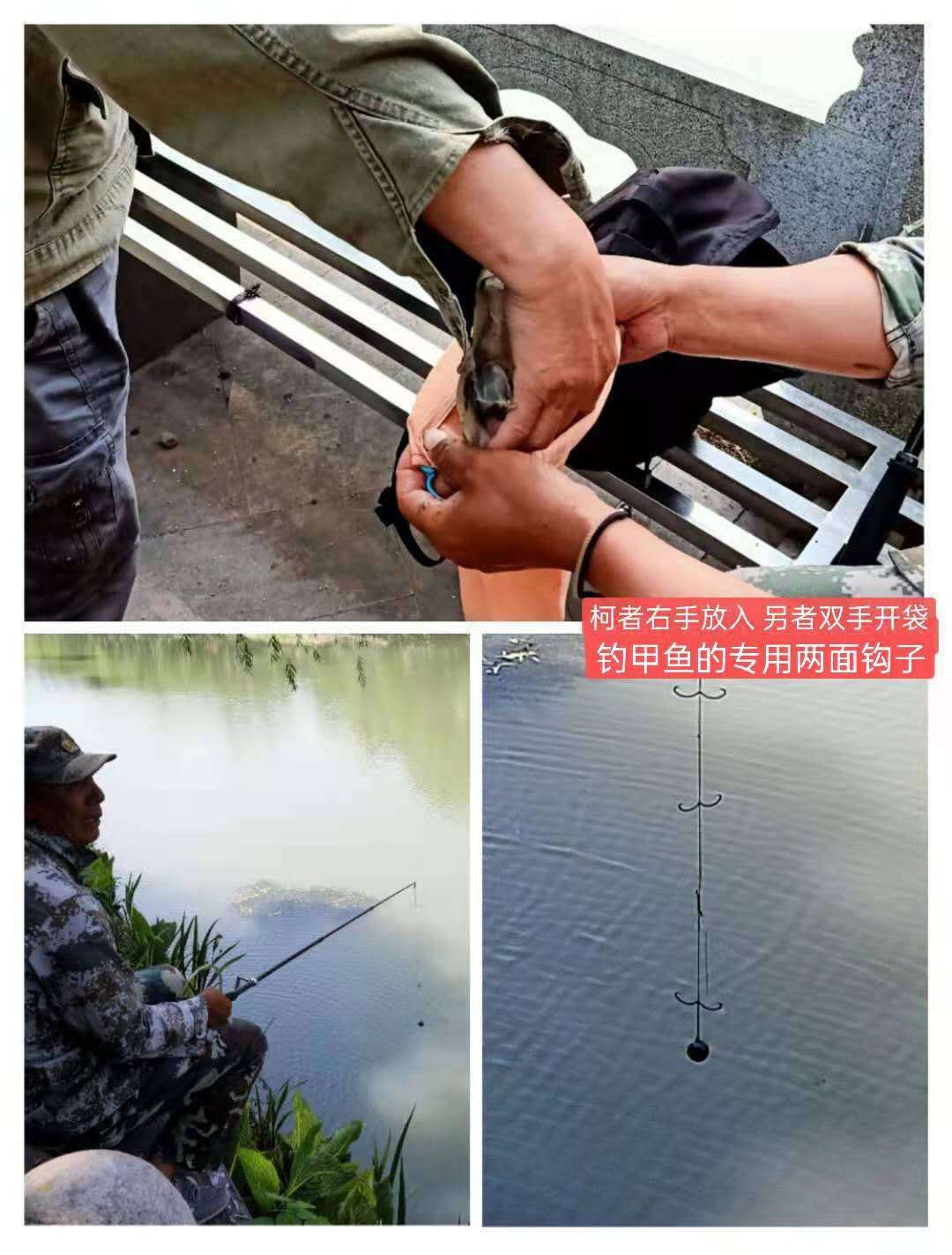 紫金港绿道钓鱼,紫金港河钓鱼