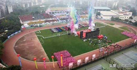 成都公共球场,成都公共体育场馆