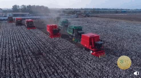 hm最新一季度财报,hm旗下品牌关店