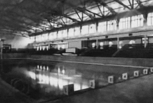 看了冬奥会感受,看了奥运会