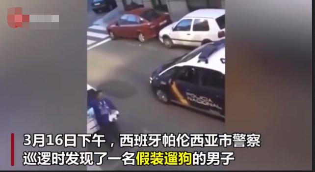 已经遛我38次了!西班牙限行后,主人为了出门把狗都遛瘫了