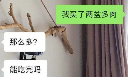 女神在宿舍做什么羞事​​​​|今日爆笑囧图