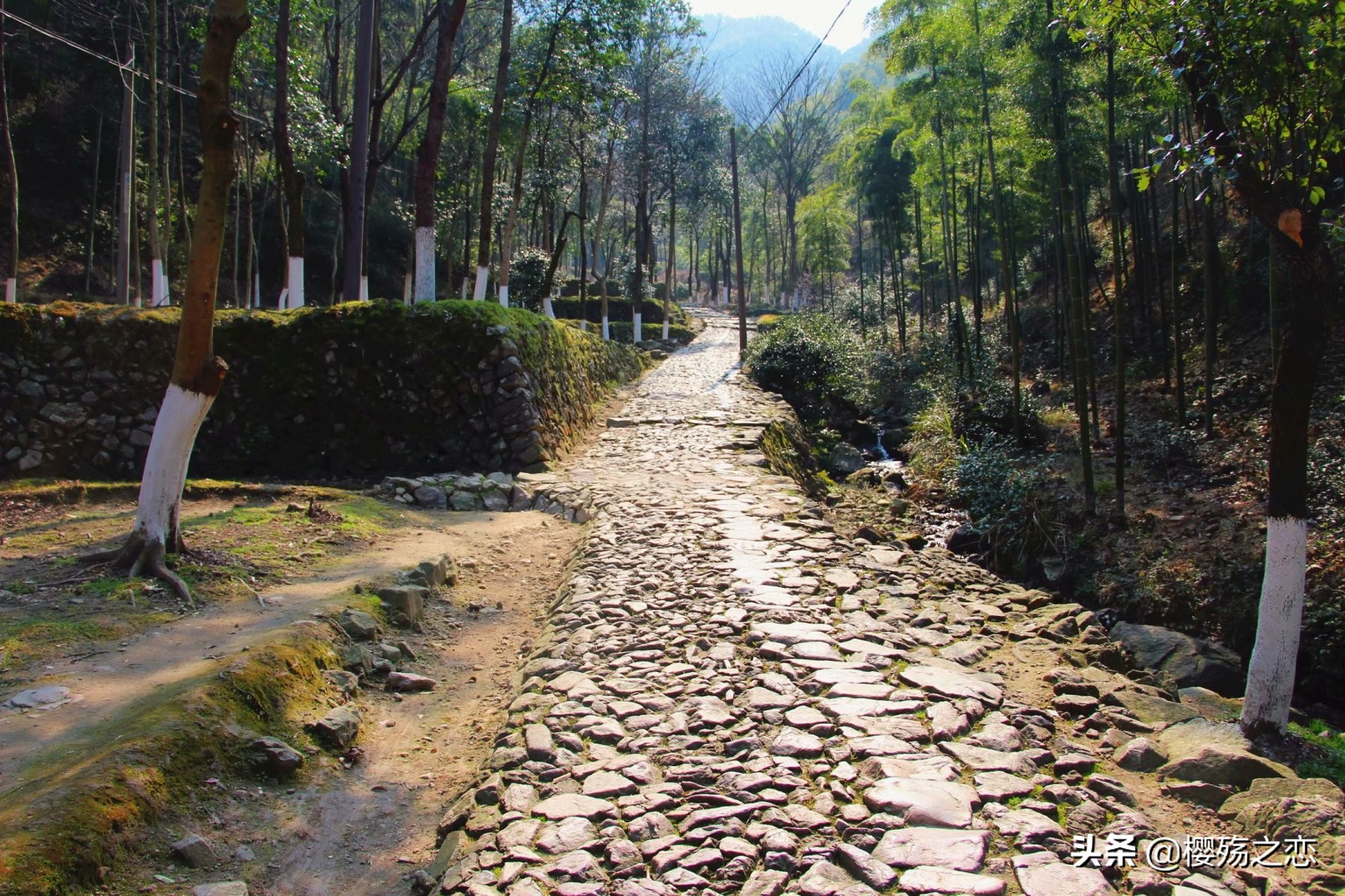 浙江最有名的关口,浙江有名古城有哪些