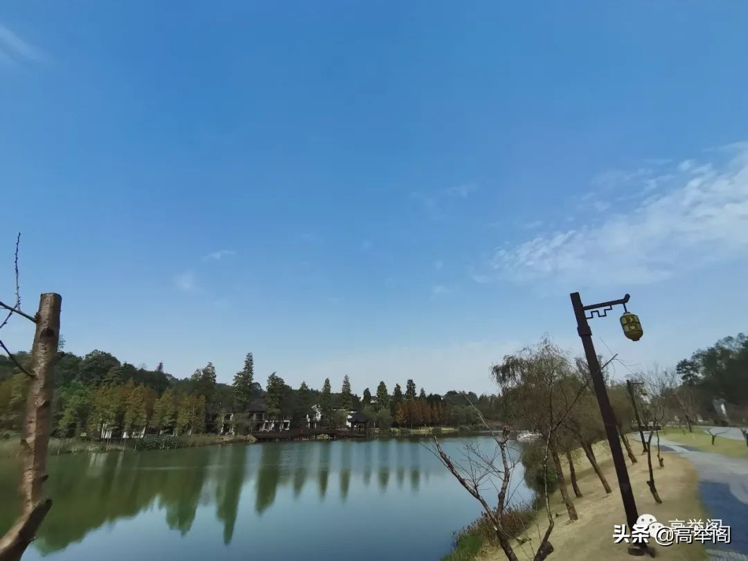 桃花源文库||王成宗（湖南）《俗语拟题，美不胜收》