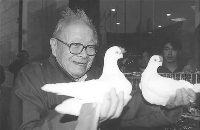 一“顽”到老王世襄:架鹰盘鸽斗蛐蛐,越老玩得越高级