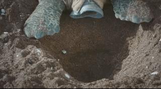 你在搞笑吗韩语,bbc搞笑视频