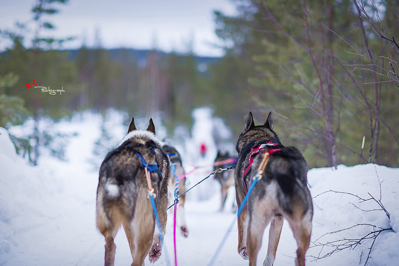 果小姐的日常,果小姐的慢生活