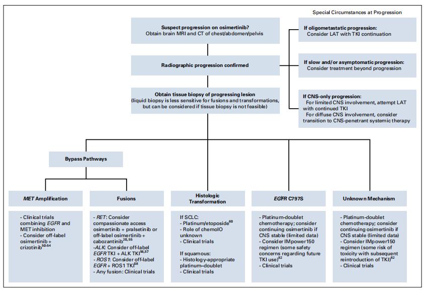 奥希替尼靶向治疗原理,奥希替尼能治好肺癌晚期吗