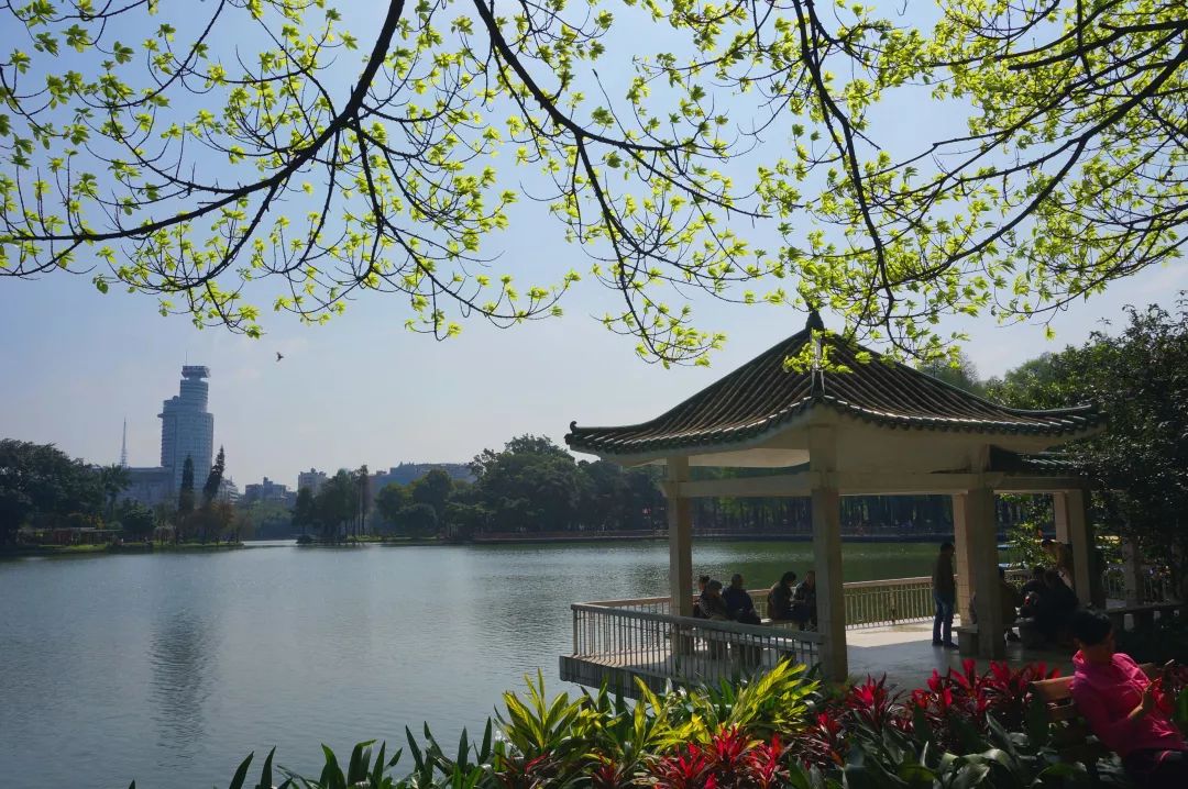 广州免费公园景点大全,广州免费公园排名