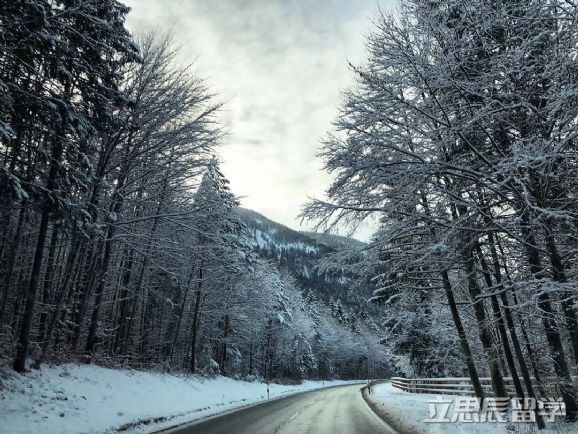 慕尼黑大学百科,慕尼黑大学简介