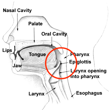咽部异物感要警惕9类疾病,咽部异物感强烈怎么办