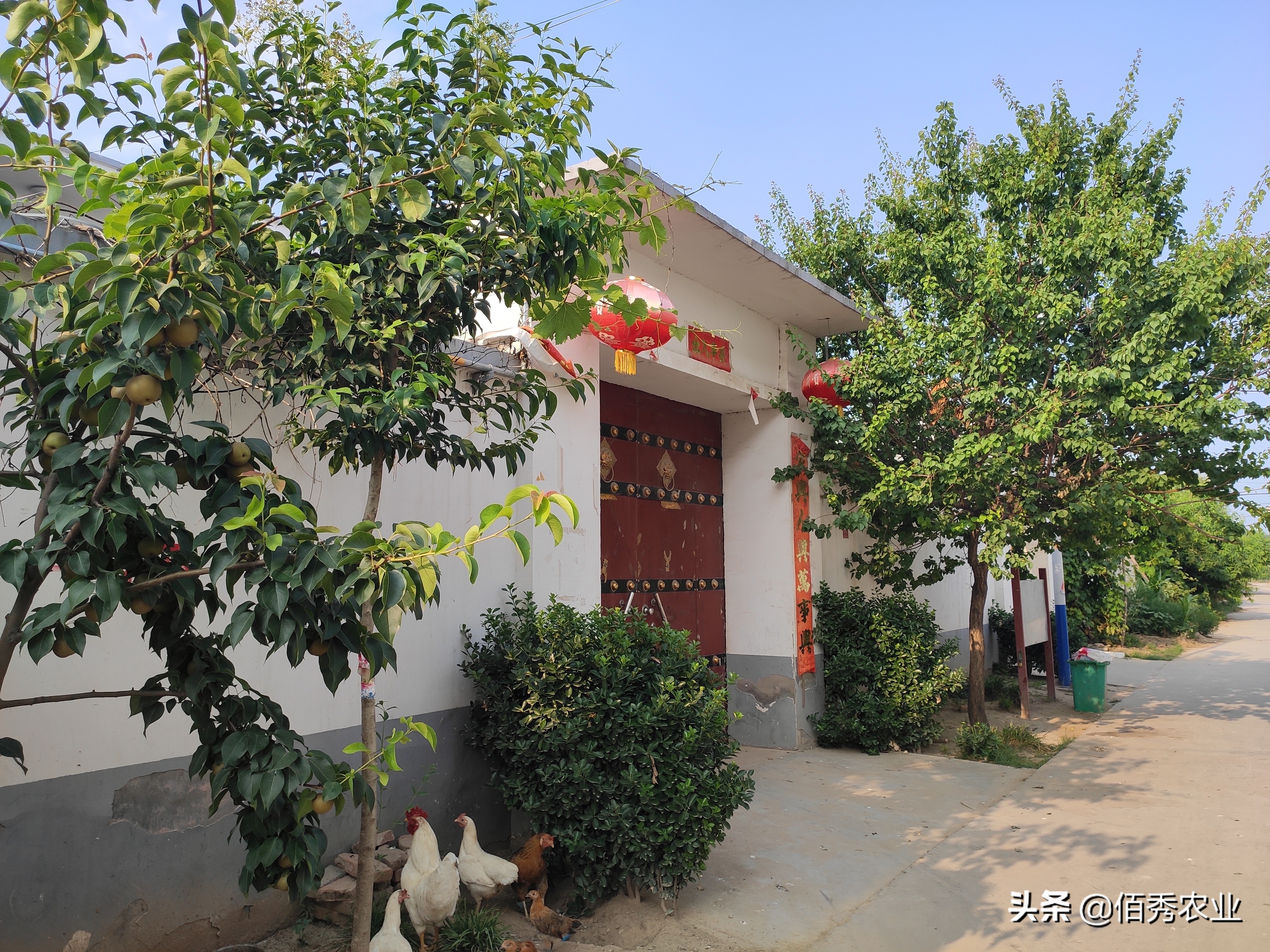 未来5年农村最有前景的行业,未来5年在农村最有前景的5个行业