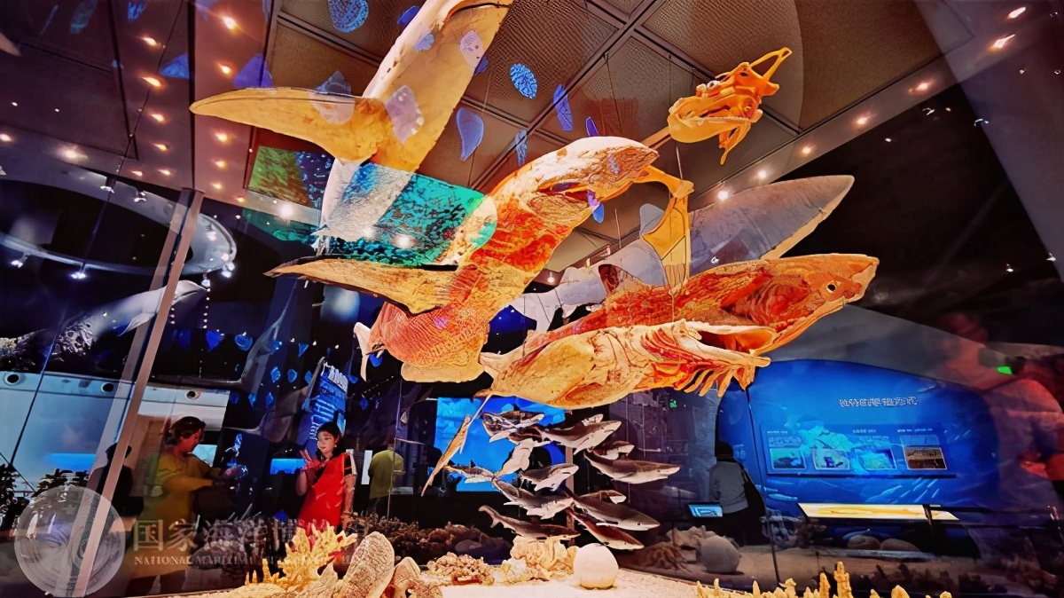 国家海洋博物馆游玩需要多久,天津生态城国家海洋博物馆