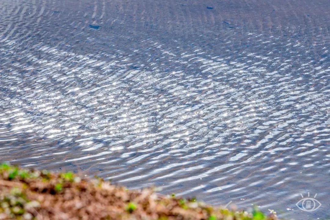 最美湖泊小众风景,最美湖泊西湖