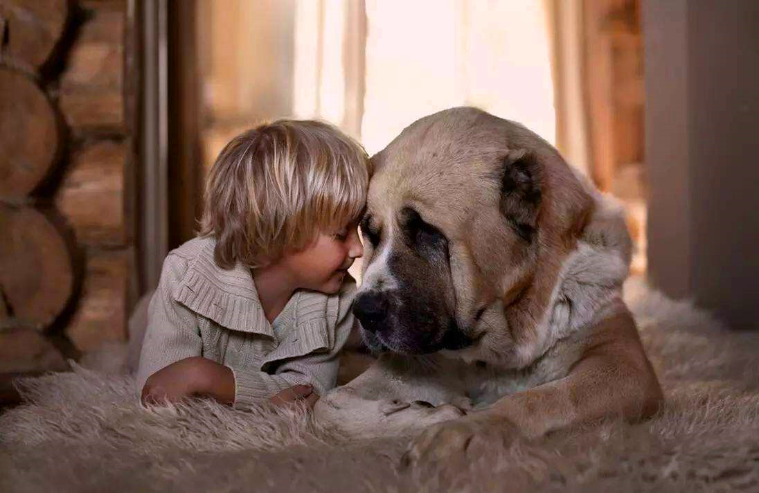 孩子喜欢模仿狗的动作怎么办,小孩模仿动物动作正常吗