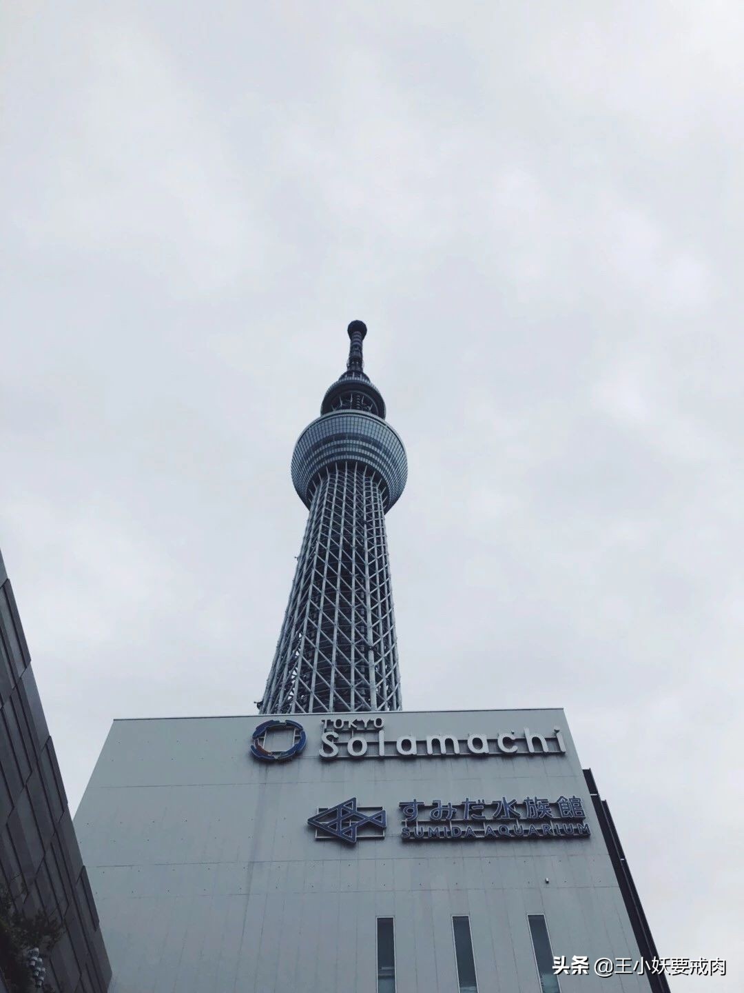 日本攻略自由行大阪,日本自由行攻略名古屋