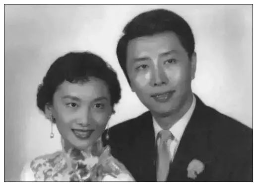 绝代佳人夏梦小说,绝代佳人夏梦简介