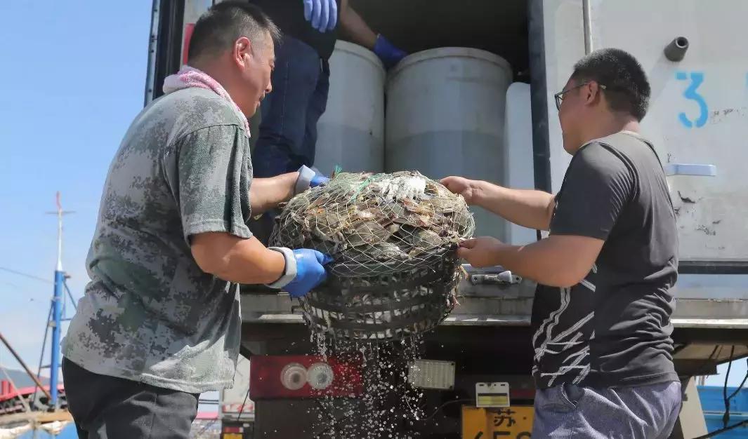 欢迎来连云港吃海鲜,连云港哪里吃海鲜便宜又实惠贴吧