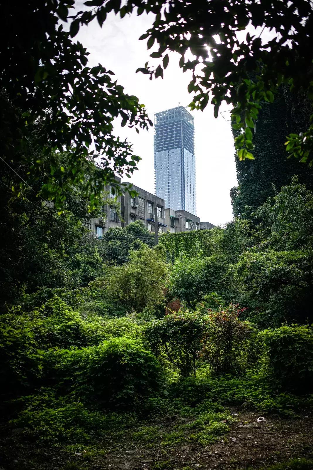 从钢管厂五区晃到莲花新区
