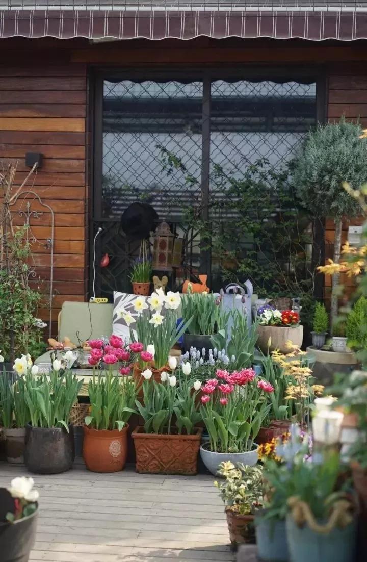 满足你对露台院子养花的梦想,养花种菜小院生活