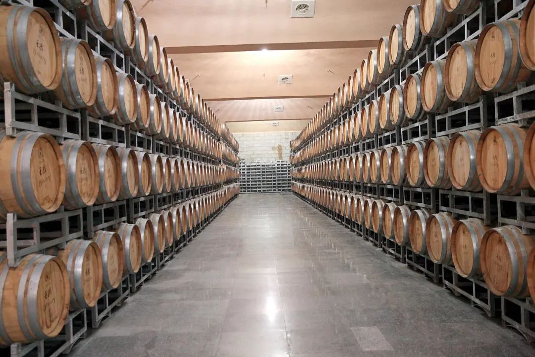 驱动王朝创赢新未来——访天津王朝酒业销售有限公司总经理刘军