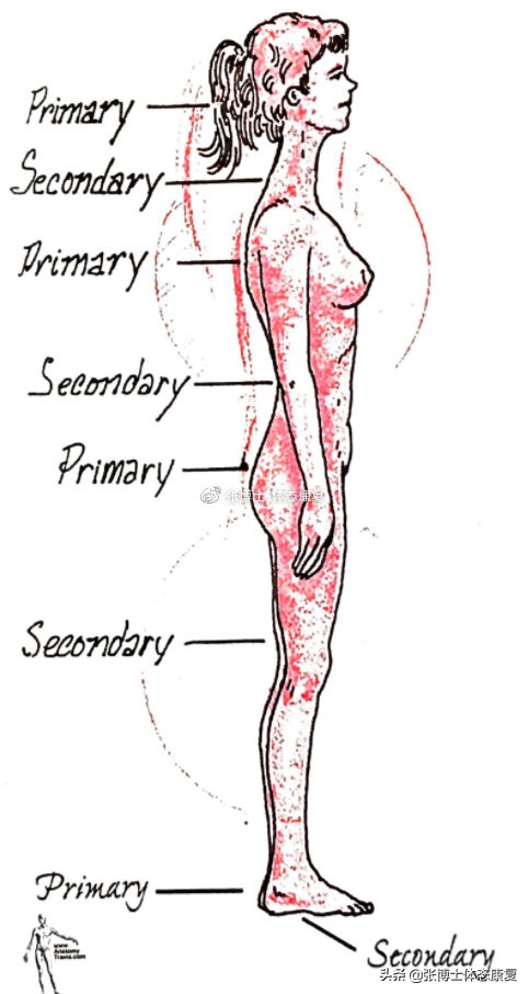 骨盆前倾造成的错位,单侧骨盆倾斜矫正方法