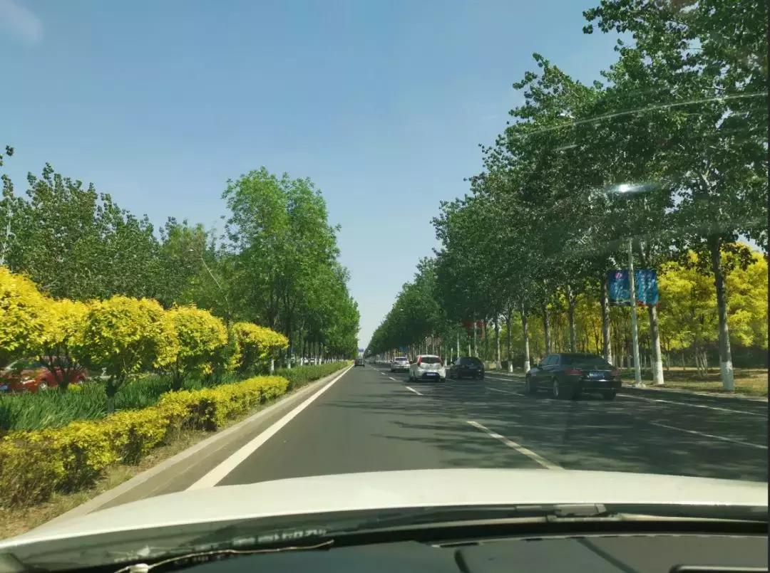 关于龙湾城片区院长这么说，附带优质社区踩盘，你们猜猜是哪里？