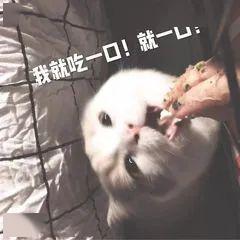 有趣的灵魂大家一起聊天,聊天有趣的灵魂