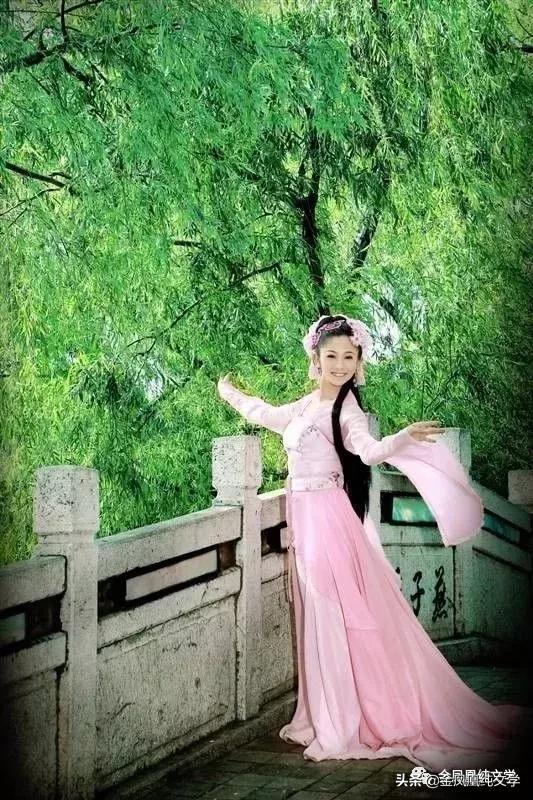 金凤凰古诗3首,金凤凰古诗作品