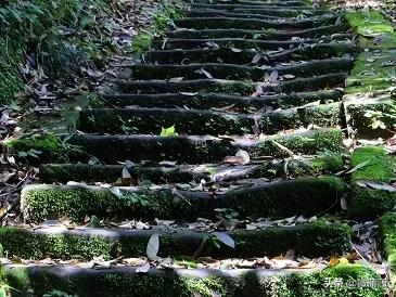 茶马世家茗茶馆,中国最美茶庄