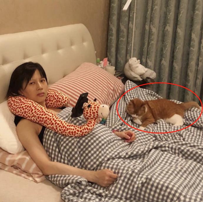 还在相信怀孕生娃后不能养宠物？钟南山：谣言，真相是越早越好