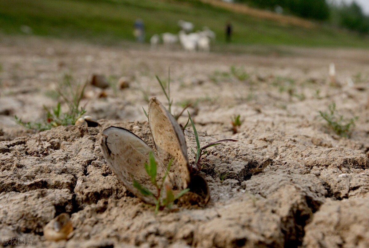 大有卦辞的哲理意义,大有卦的爻辞