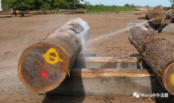 美国硬木干货价格,北美硬木排行