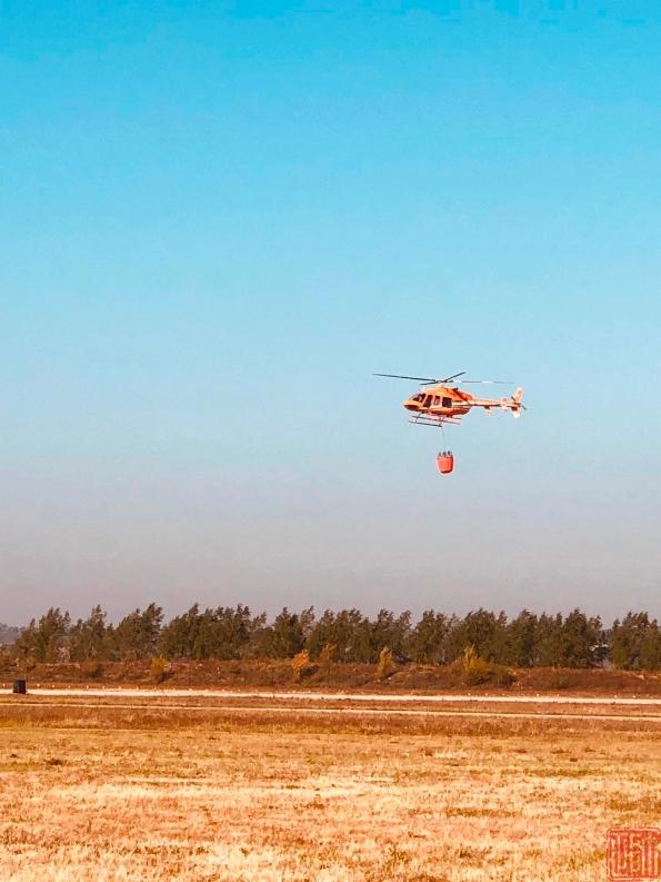 沈阳日报12月13日,沈阳新闻9月16日